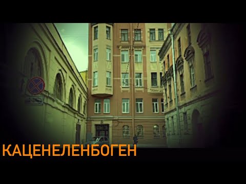 Видео: От лягушек до итальянского Возрождения: архитектор Н. Д. Каценеленбоген