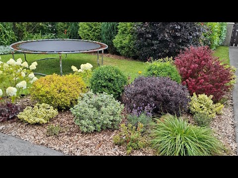 Видео: 🌱НОВИНКИ комнатных  растений🍀 ПЕРЕДЕЛАЛА миксбордер.🌻🌿🪻