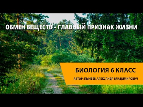 Видео: Обмен веществ – главный признак жизни