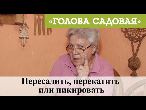 Видео: Голова садовая - Пересадить, перекатить или пикировать