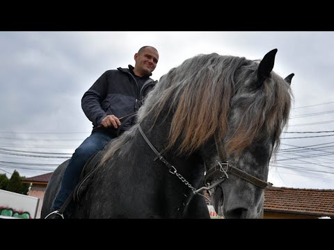 Видео: С лазаруване и турнир с тежковозни коне Равното поле отбеляза празника на вихрогоните