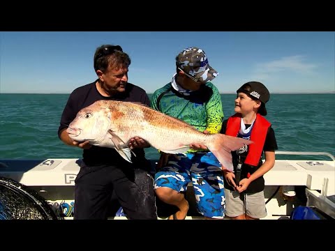 Видео: IFISH - MONSTER Snapper, King George и многое другое!