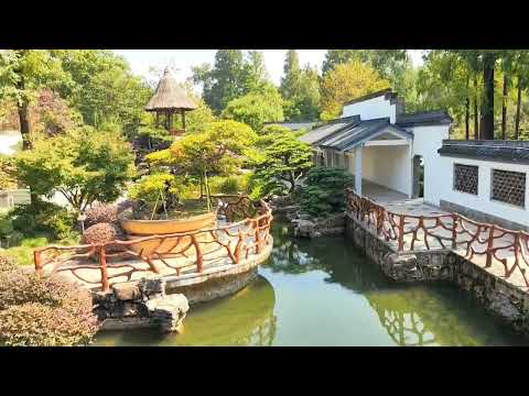 Видео: Ботанический сад Шанхай.