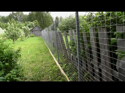 Видео: Самый практичный и недорогой забор для деревни