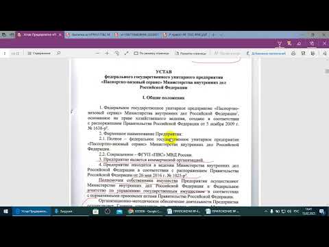 Видео: Устав Паспортно- Визового Сервиса  МВД РФ, и Росимущество.