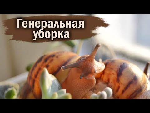 Видео: СОКРАЩЕНИЕ КОЛЛЕКЦИИ? | СНОВА ВЕРНУЛАСЬ К ТОРФУ?