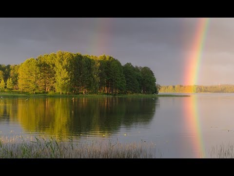 Видео: Магия отражений
