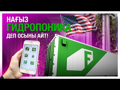 Видео: Нағыз гидропоника деп осыны айт!