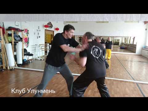 Видео: Пять стихий в туй-шоу. Практика туй-шоу в тайцзи-цюань. 2018г.