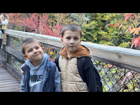 Видео: Семейный день у водопада 🌿✨