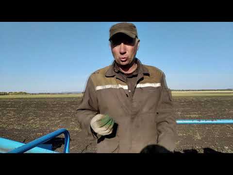 Видео: С ПРАЗДНИКОМ АПК! ТРУДНОСТИ ПРИ УБОРКЕ КАРТОФЕЛЯ 2020