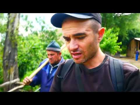 Видео: Сайри куххои Амондара
