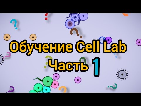 Видео: Обучение Cell Lab (редактор генома) часть 1