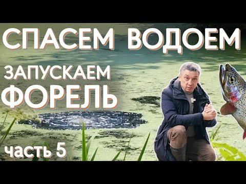 Видео: Спасем водоем часть 5. Продолжаем спасать заросший водоем бюджетными способами. Запуск форели.