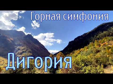 Видео: Кавказ, Северная Осетия, Дигорское ущелье, встреча с ослами в горах осенью 2023 года