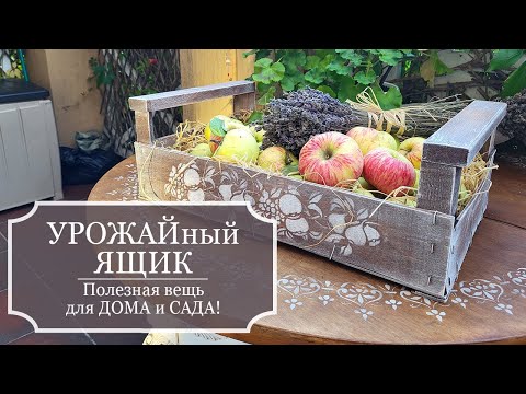 Видео: УРОЖАЙный ЯЩИК - Полезная вещь для дома и сада - Делаю красивый ящик из бесплатного ящика от помидор