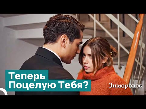 Видео: Есть Моменты, Которые Захватывают Дух | Зимородок