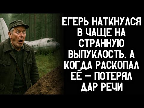 Видео: Егерь наткнулся в чаще на странный холм, а когда раскопал его - потерял дар речи...