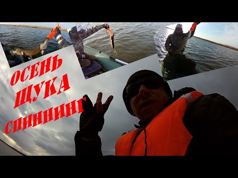 Видео: BABY BUSTER И  MEGABASS X-140 . ЛОВЛЯ ЩУКИ В ОКТЯБРЕ.ЛИДСКИЕ РАЗЛИВЫ.