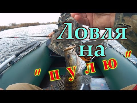 Видео: Ловля рыбы на пулю. Рыбалка на новой лодке.