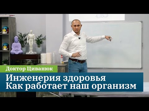 Видео: Инженерия здоровья: как работает наш организм. Доктор Циванюк