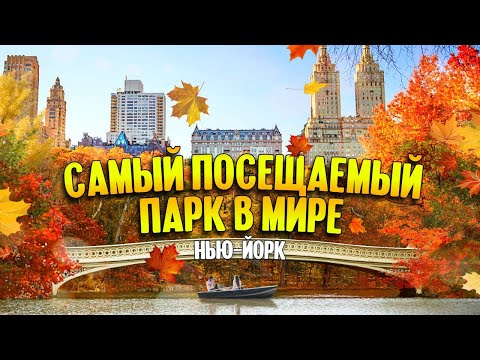 Видео: Прогулка по осеннему Центральному парку | Нью-Йорк