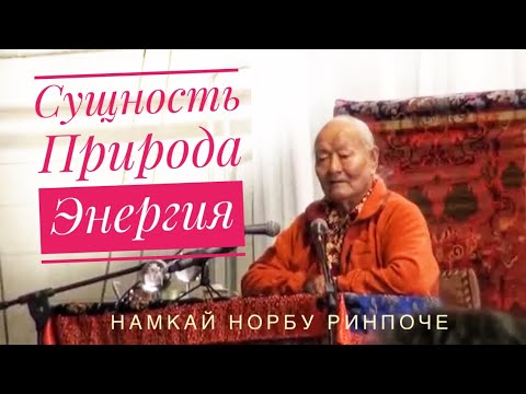 Видео: Дзогчен. Сущность, Природа, энергия. Намкай Норбу Ринпоче - великий Учитель Дзогчен редкая лекция