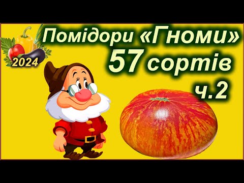 Видео: Томати "Гноми". ОБЗОР 57 сортів.  ч 2