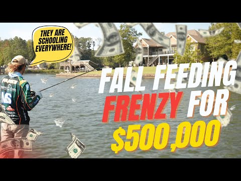 Видео: ОСЕННИЙ АКТИВНЫЙ РЫБОЛОВНЫЙ РЫБАЛКА НА ПОВЕРХНОСТНЫХ ВОДАХ ОЗЕРА ГАНТЕРСВИЛЬ — РЫБАЛКА С ПРИЗОМ В...