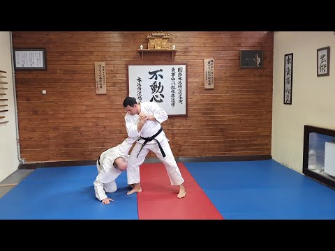 Видео: ВАКИ ГАТАМЭ (видеоурок)