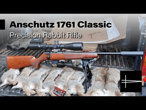 Видео: Anschutz 1761 Classic против 13 кроликов