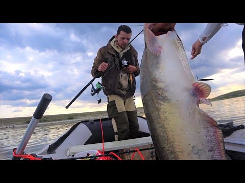 Видео: РУКИ ТРЯСУТСЯ после этих поклевок!! Рыбалка на сома летом с квоком