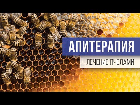 Видео: ЛЕЧЕНИЕ ПЧЕЛАМИ. АПИТЕРАПИЯ