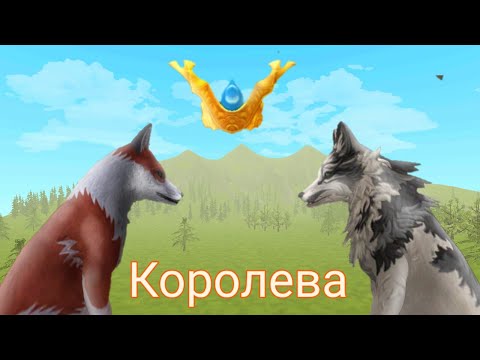 Видео: Мини-фильм "Королева" //WildCraft//