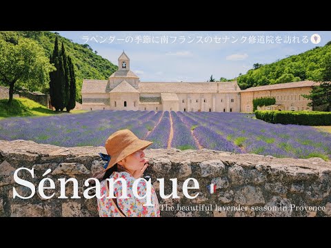 Видео: Лавандовые поля аббатства Сенанку / Покупки в сувенирном магазине Сенанку / Прованс / Люберон