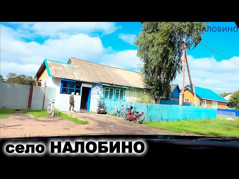 Видео: село НАЛОБИНО Кызылжарский район. город ПЕТРОПАВЛОВСК 