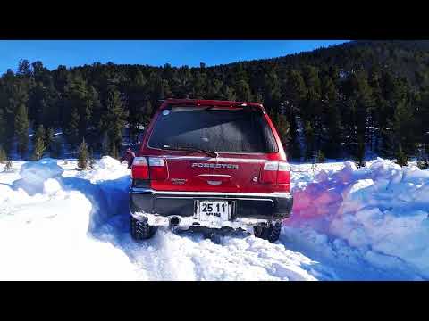 Видео: Хагийн хар нуурын аялал. Winter trip to Khag lake 2021