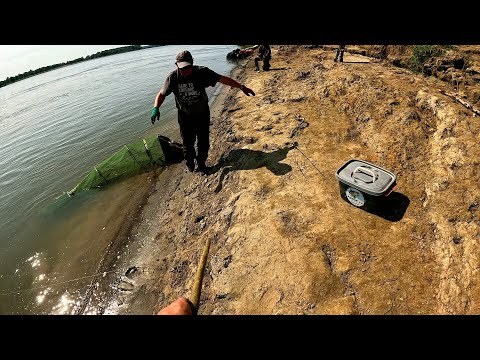 Видео: Такого мы НЕ ЖДАЛИ! НАСТОЯЩИЙ ТРОФЕЙ у САНИ! Рыбалка на РЕЗИНКУ в НАЧАЛЕ ЛЕТА