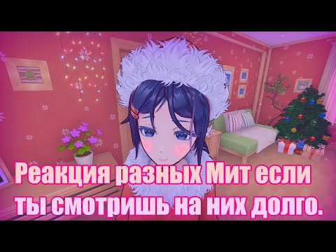 Видео: Реакция Мит если смотреть на их моську долго MISIDE
