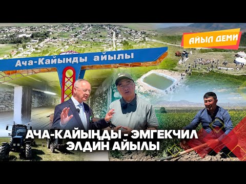 Видео: Ача-Кайыңды - эмгекчил элдин айылы  // АЙЫЛ ДЕМИ