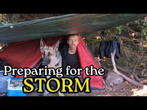 Видео: Укрытие от бури — Моя жизнь на природе
