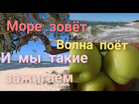 Видео: Нам ли быть в печали!!!Последнее видео на Ютубе. С тобой на много веселее.