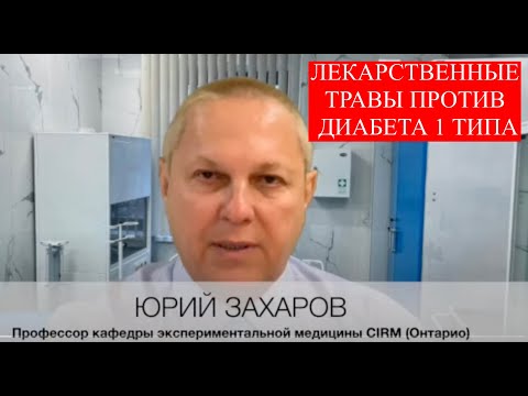 Видео: Травы и диабет 1 типа. Фитотерапия диабета. #диабет1типа #лечениедиабета #травыФитотерапия