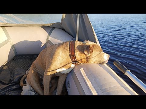 Видео: Рыбалка в августе, не всегда клюет