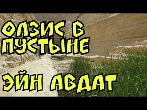 Видео: 3.🇮🇱 Эйн Авдат. Водопад в пустыне.
