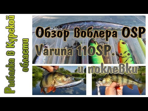 Видео: Обзор воблера OSP Varuna 110SP