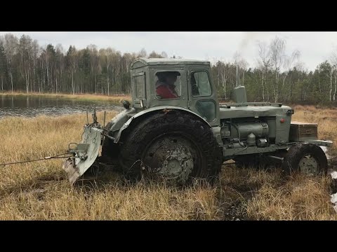 Видео: Трактор Т 40 вытаскивает вездеход из болота