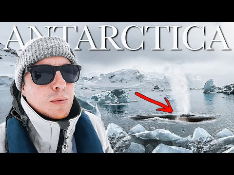 Видео: АНТАРКТИДА 🇦🇶 В окружении китов (Вершина путешествий)