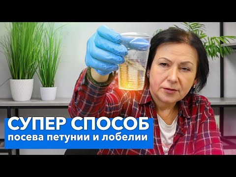 Видео: ТАКИМ СПОСОБОМ СЕЯТЬ МЕЛКИЕ СЕМЕНА ПРОЩЕ ВСЕГО! Посев лобелии, бегонии, петунии методом “трех-плех”