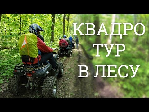 Видео: КВАДРОТУР по лесным дорогам прокат квадроциклов сумы